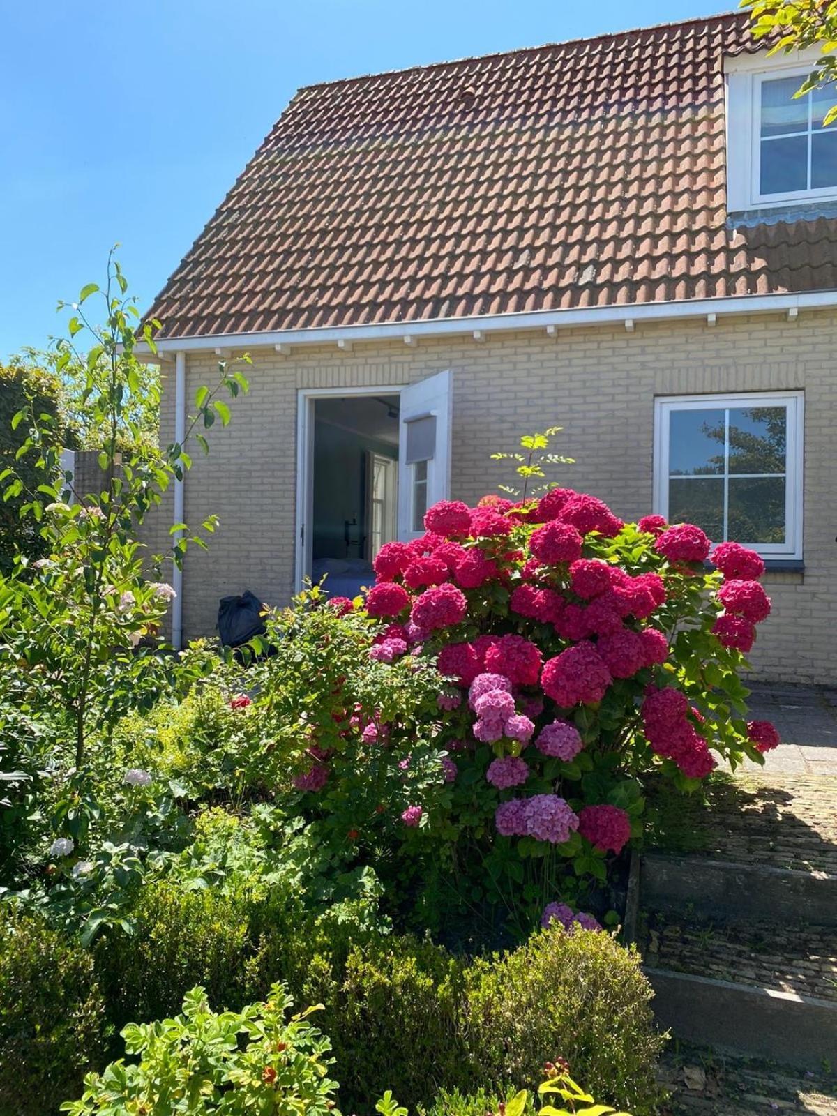 Zeayou Zeeland - Appartementen Brouwerijweg 43 دومبورغ المظهر الخارجي الصورة